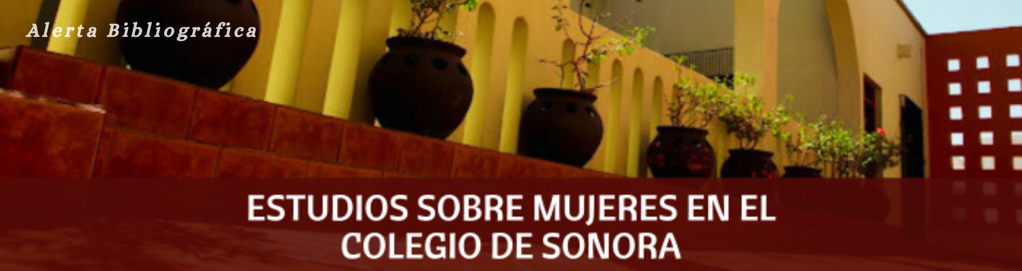 Alerta bibliográfica: Estudios sobre mujeres en El Colegio de Sonora