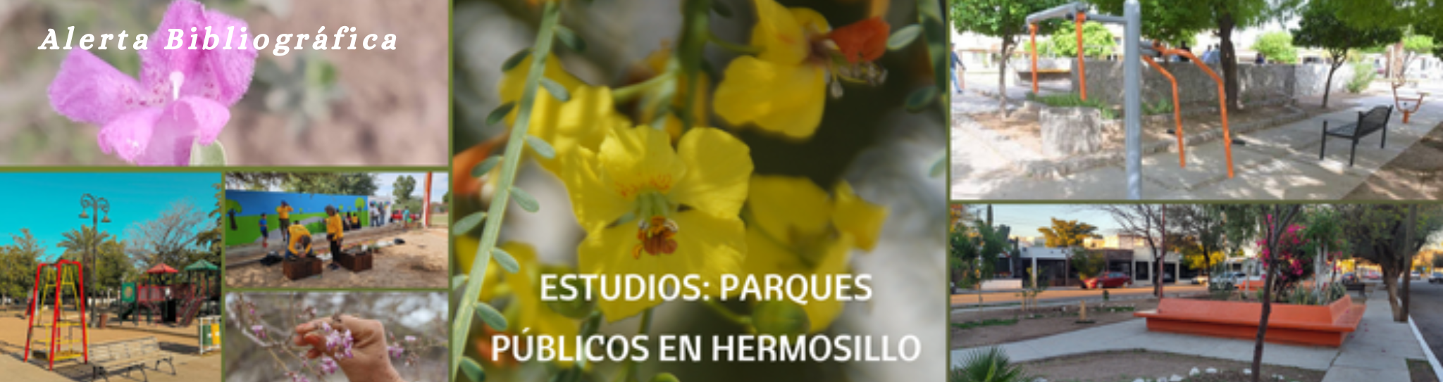 Alerta Bibliográfica: Parques públicos en Hermosillo