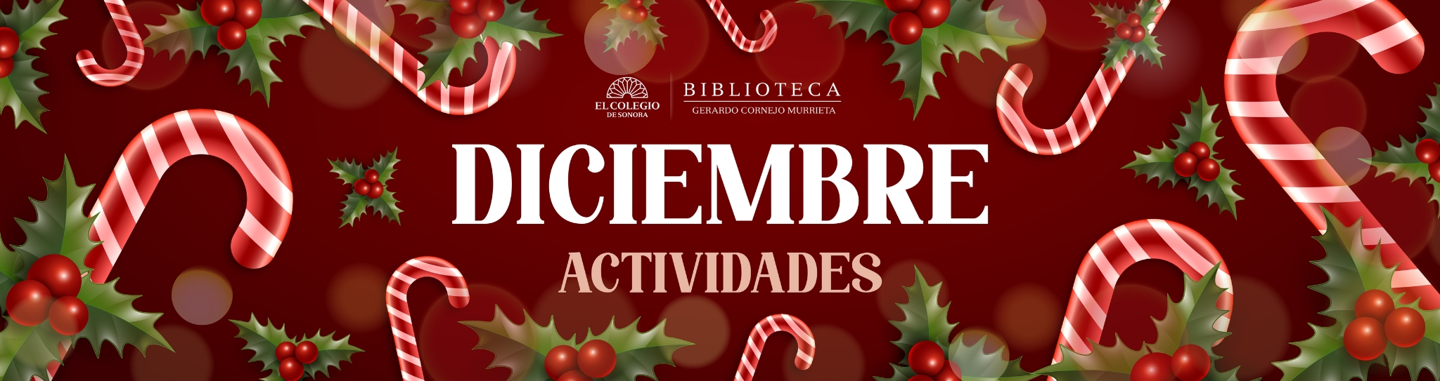 banner-actividades-dic-2025
