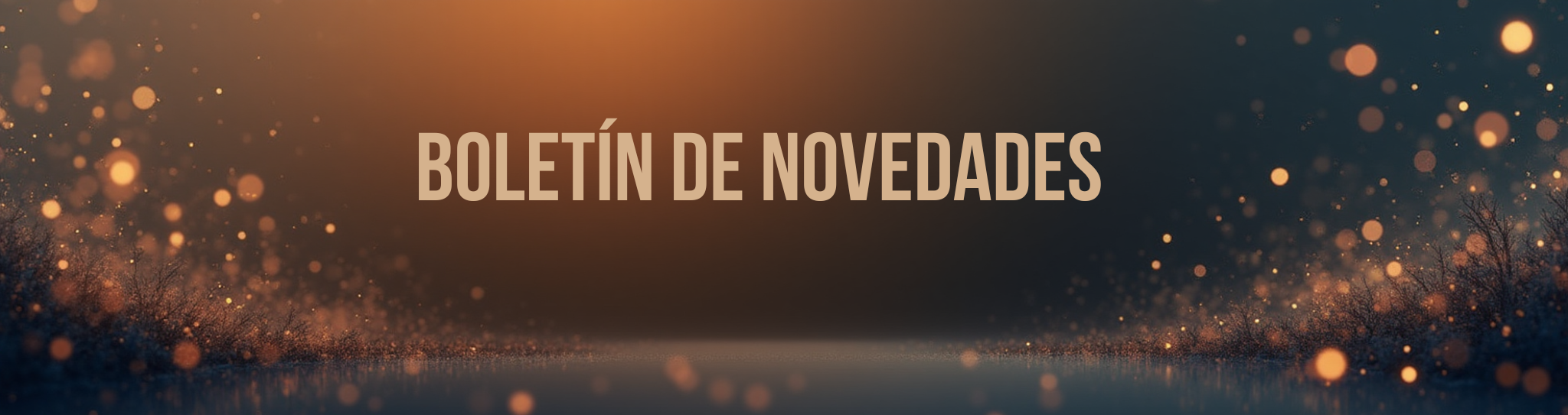 Boletín de novedades diciembre