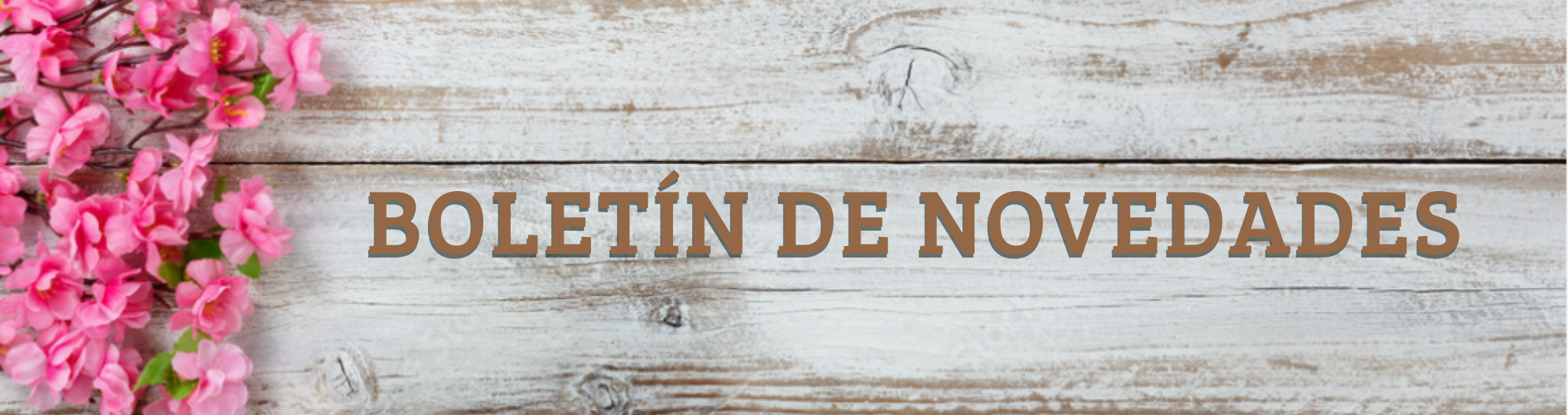 banner-boletin-novedades-mayo-2026
