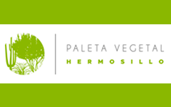 paleta-vegetal-hmo